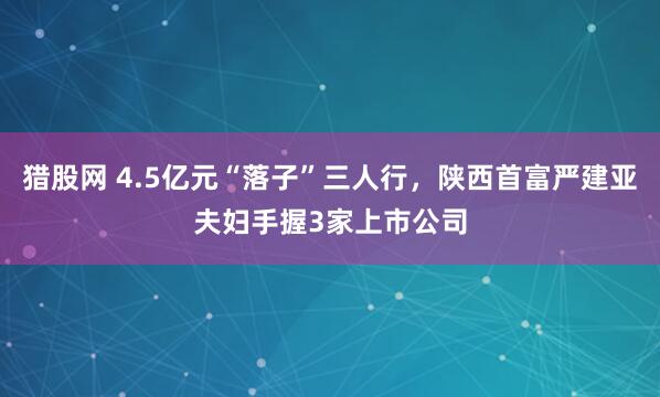 猎股网 4.5亿元“落子”三人行，陕西首富严建亚夫妇手握3家上市公司