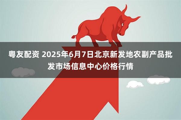 粤友配资 2025年6月7日北京新发地农副产品批发市场信息中心价格行情
